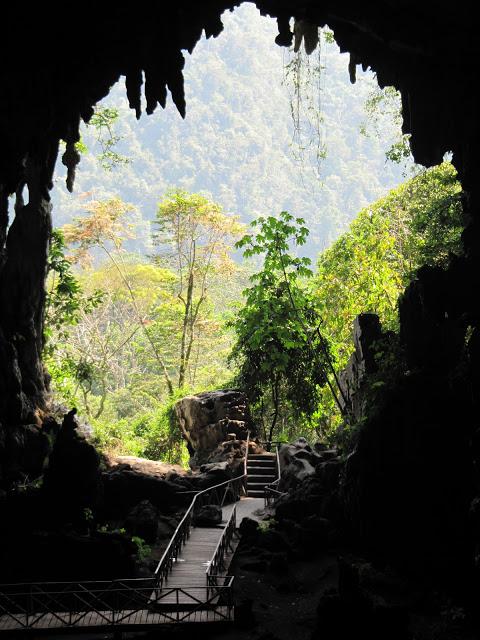 Encantos de Tingo María: a las puertas de la selva