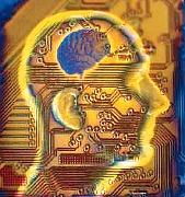 programacion neurolinguisgtica perfil PNL ejercicio pnl.jpg