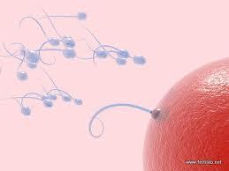 Anticonceptivos hormonales y dudas Anticonceptivos hormonales y dudas
