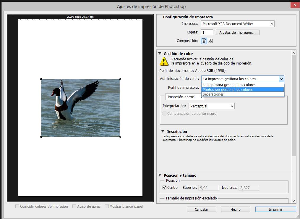Calibrando la impresora para sacar una imagen lo mas parecida a la que vemos en nuestro monitor Calibrando la impresora para sacar una imagen lo mas parecida a la que vemos en nuestro monitor