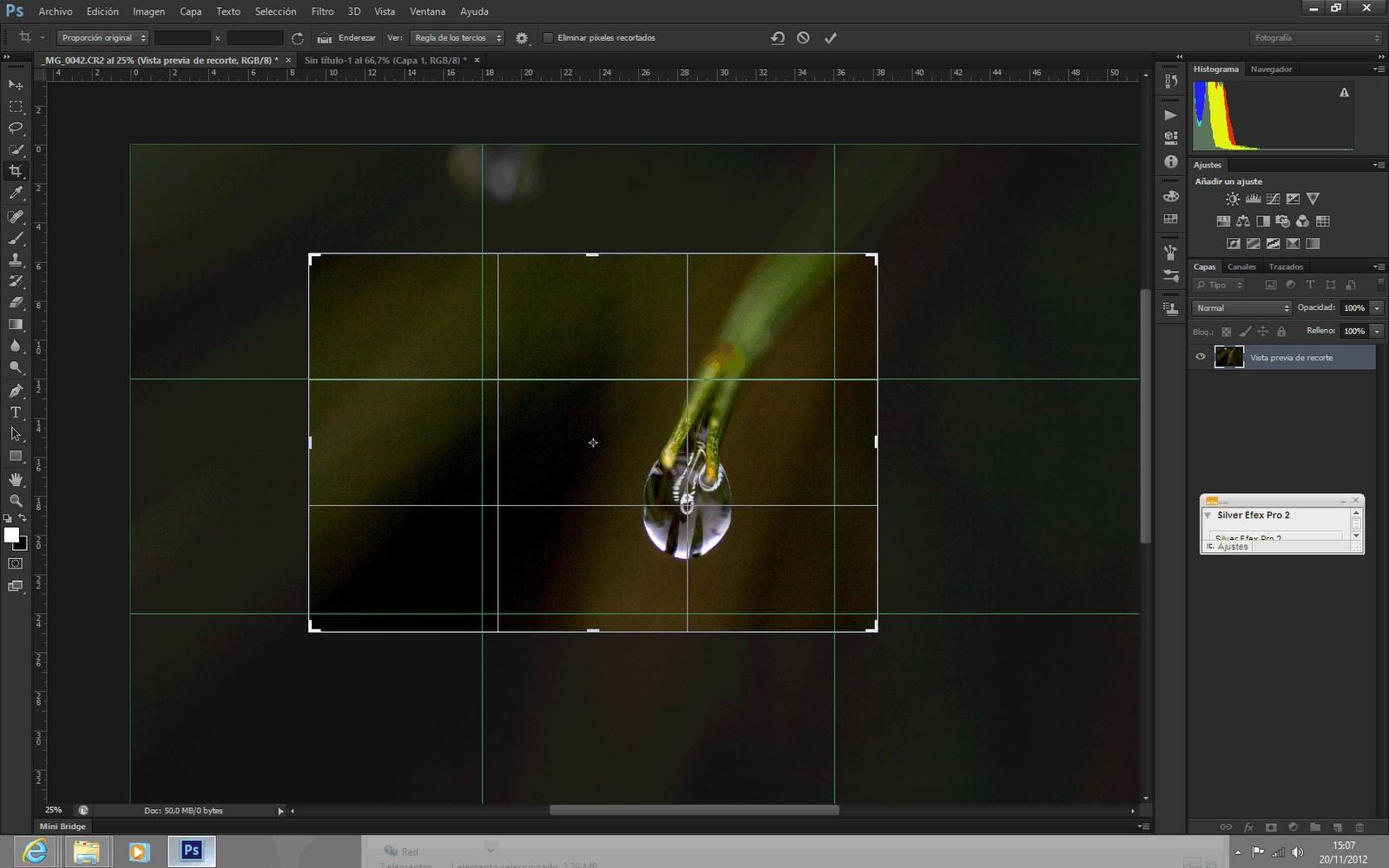 Ampliar una imagen con Photoshop Ampliar una imagen con Photoshop