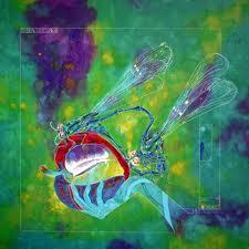 Sueño Maldito Sueño Maldito