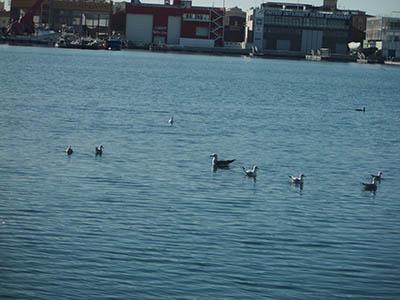 Dia de Reyes en la playa Dia de Reyes en la playa