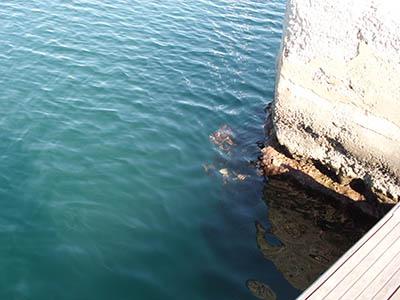 Dia de Reyes en la playa Dia de Reyes en la playa