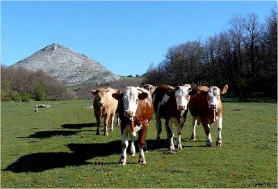 Denominación de Origen Denominación de Origen