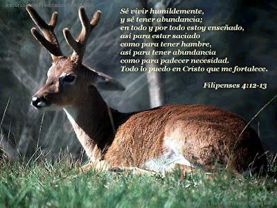 Victoria en los altibajos de la vida Victoria en los altibajos de la vida