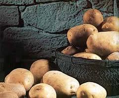 de la ciudad al campo, plantando patatas, nofler de la ciudad al campo, plantando patatas, nofler