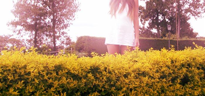 Open Happiness Open Happiness