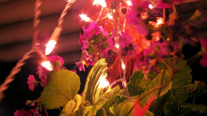 Open Happiness Open Happiness