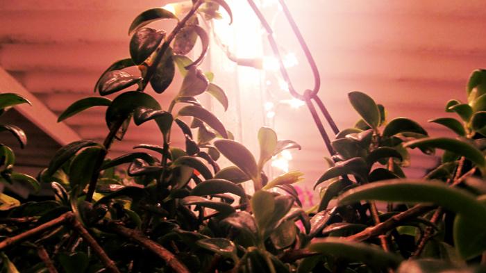 Open Happiness Open Happiness