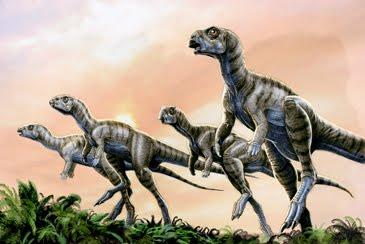 llamaban-trinisaura-L-SVe2IT.jpeg