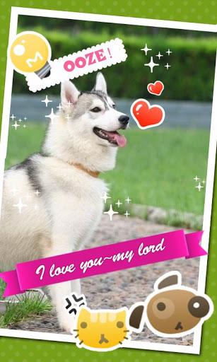 Mis aplicaciones preferidas 2ª parte Mis aplicaciones preferidas 2ª parte