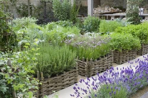 cestas-usadas-como-macetas-con-romero-lavanda-hierbas-aromáticas