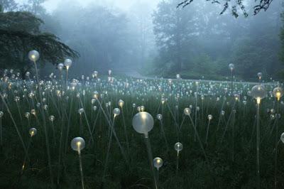 Los jardines de niebla