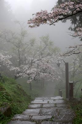 Los jardines de niebla