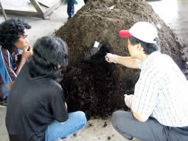 Abono orgánico de la basura en sólo un día Abono orgánico de la basura en sólo un día