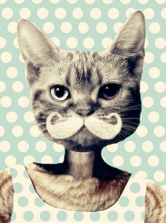 El bigote se sigue reinventando 274086327293971133_ZFyXv6F4_c