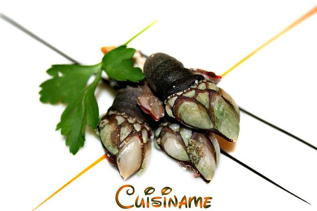 mariscos, recetas de mariscos, percebes, bocas de buey de mar, patas de araña, laurel, vino blanco, recetas de cocina, curiosidades, trucos, consejos, cocinar, blog de cocina, chistes, humor mariscos, recetas de mariscos, percebes, bocas de buey de mar, patas de araña, laurel, vino blanco, recetas de cocina, curiosidades, trucos, consejos, cocinar, blog de cocina, chistes, humor