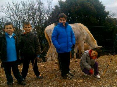 Campeona entre campeones Campeona entre campeones