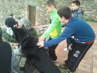 Campeona entre campeones Campeona entre campeones