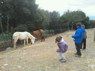 Campeona entre campeones Campeona entre campeones