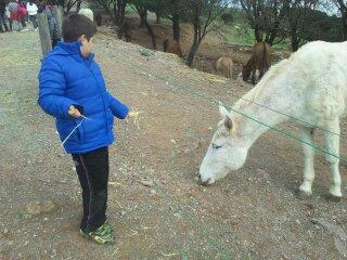 Campeona entre campeones Campeona entre campeones