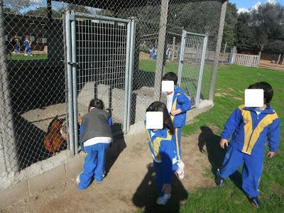 Contenta¡¡ Contenta¡¡