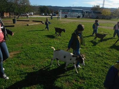 Contenta¡¡ Contenta¡¡