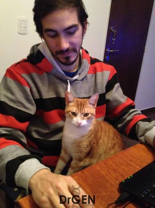 2012, el mejor año de la historia foto gata 2012, el mejor año de la historia