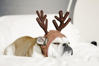 ¡Tólix de oferta! y mucho mas... ¡Tólix de oferta! y mucho mas...