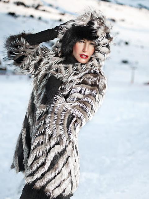 MIS PREGUNTAS A DAISY..............by gelenne MIS PREGUNTAS A DAISY..............by gelenne