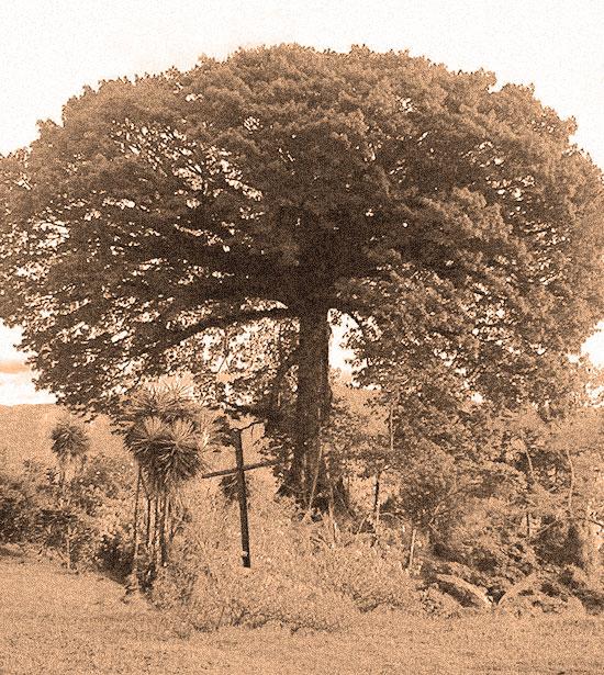 SAB (segunda parte) Capítulo V SAB (segunda parte) Capítulo V