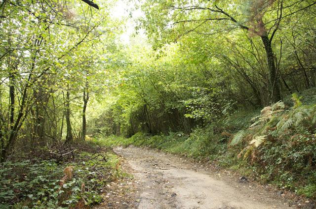 Un look muy otoñal Un look muy otoñal