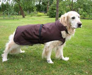 abrigo_perro El look de la semana; Especial Abrigos