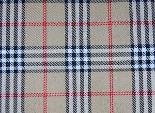 CARACOL COL COL SACA TUS CUERNOS AL SOL CARACOL COL COL SACA TUS CUERNOS AL SOL