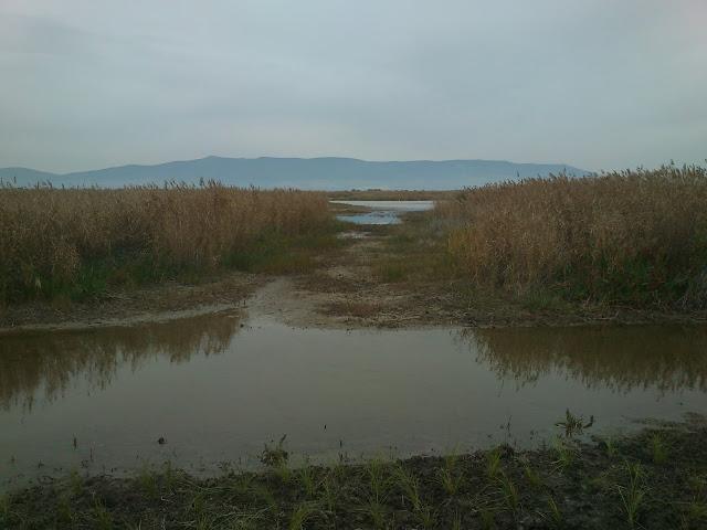 RUTA POR LAS TABLAS DE DAIMIEL RUTA POR LAS TABLAS DE DAIMIEL