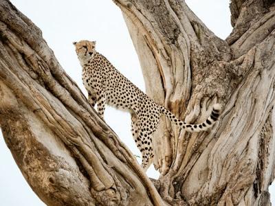 National Geographic cumple años