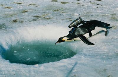 National Geographic cumple años