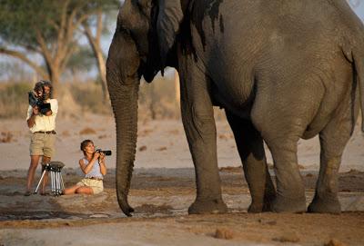 National Geographic cumple años