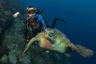 National Geographic cumple años