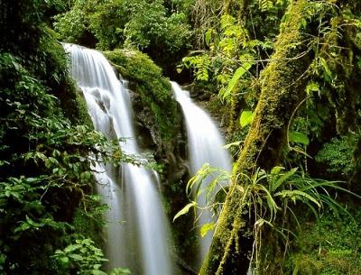 PARQUES NATURALES O RESERVAS ECOLOGICAS LOS LUGARES MAS HERMOSOS DE LA TIERRA