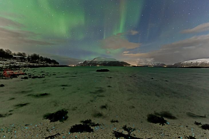 Una eyección de masa coronal alcanzó moderadamente el campo magnético de La Tierra. Fotos de espectaculares auroras Una eyección de masa coronal alcanzó moderadamente el campo magnético de La Tierra. Fotos de espectaculares auroras