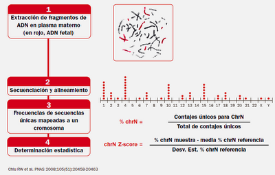 Nuevo test Prenatal no invasivo de cribado para Síndrome de Down, Edwuards y Patau