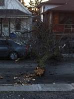 Noche de viento Noche de viento