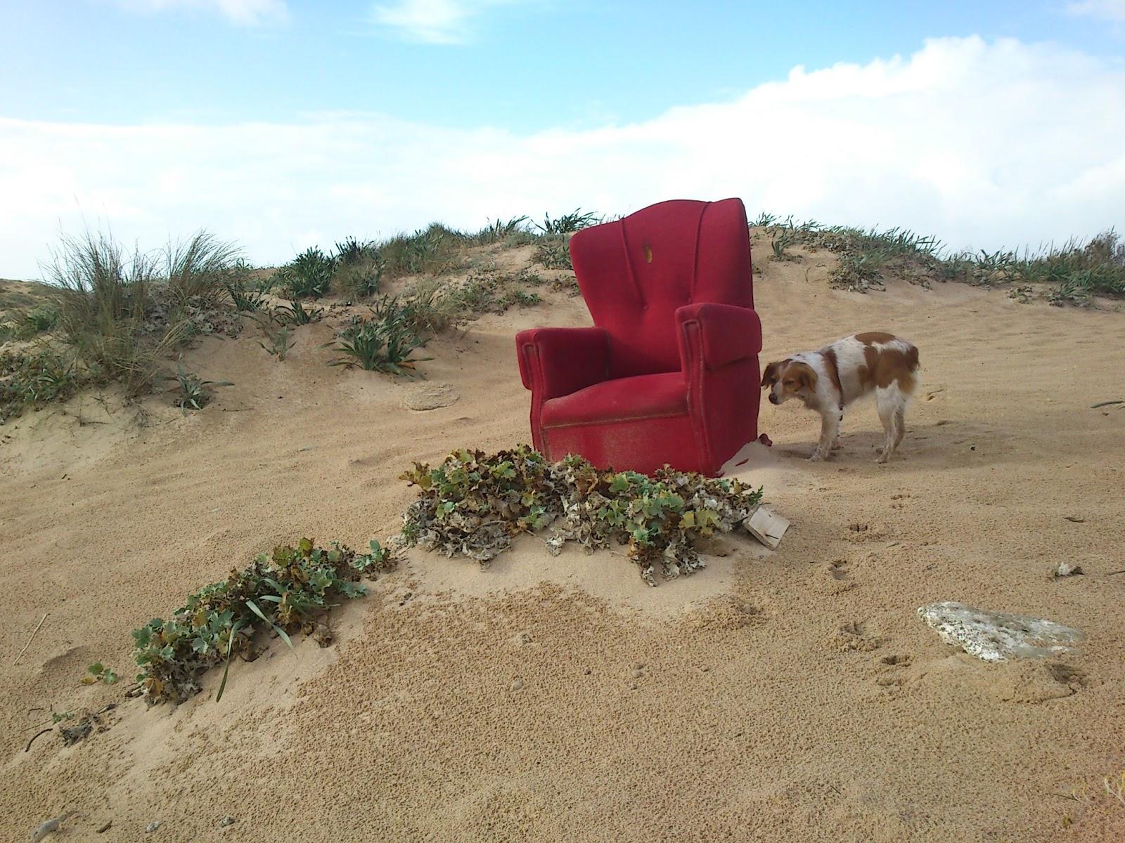 ARENA EN LOS OJOS ARENA EN LOS OJOS