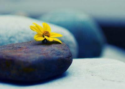 Vivir en Ahora Vivir en Ahora