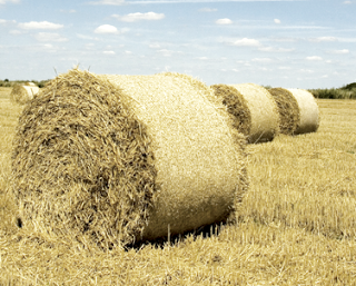 POR UN 2013 MÁS ECOLÓGICO POR UN 2013 MÁS ECOLÓGICO