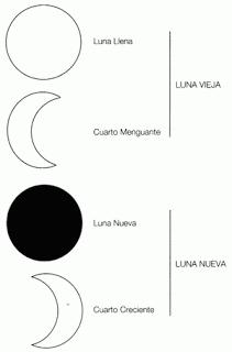 Fases de la Luna y sus Influencias