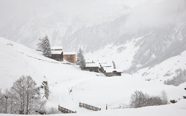 Zumthor Vacation Homes