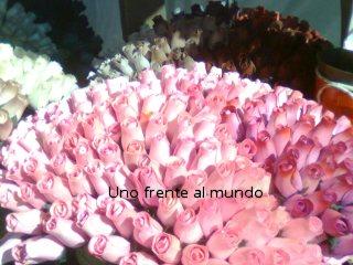 Un largo paseo Un largo paseo